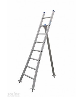 Solide Plukladder 6 sporten Ladders enkel